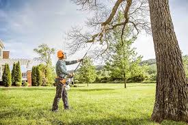 How Our Tree Care Process Works  in  Waterville, MN